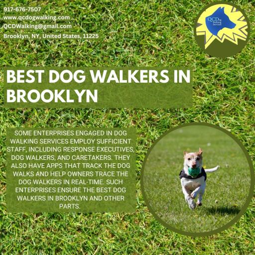 Get The Dog Walkers in Brooklyn.