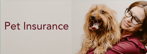 Find the Best Pet insurance bolingbrook & Romeoville