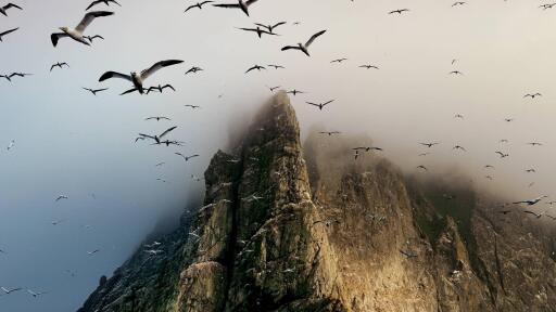 Neational Geographic Nature national geographic gulls mountains fog ultra 3840x2160 hd wallpaper 246