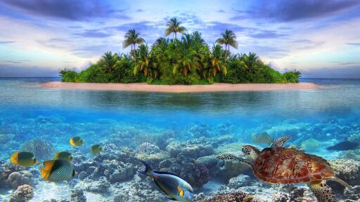 Ultra HD 4K marine life tropical island 106 HQ UHD Computer Desktop Wallpaper