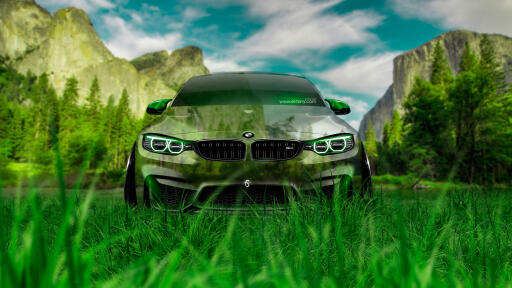 BMW Nature Wallpapers Wide Resolution Photo