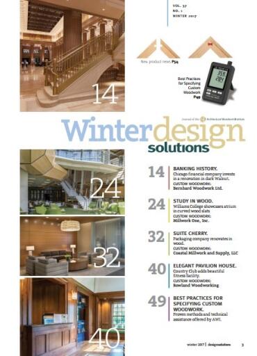 Design solutions Winter 2017 (3)