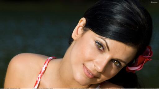 Beautiful and sexy Denise Milani Denise Milani Cute Brown Eyes Face Closeup HD Wallpaper