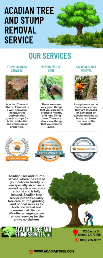 Tree Removal Lacombe | Acadian Tree and Stump Removal Service