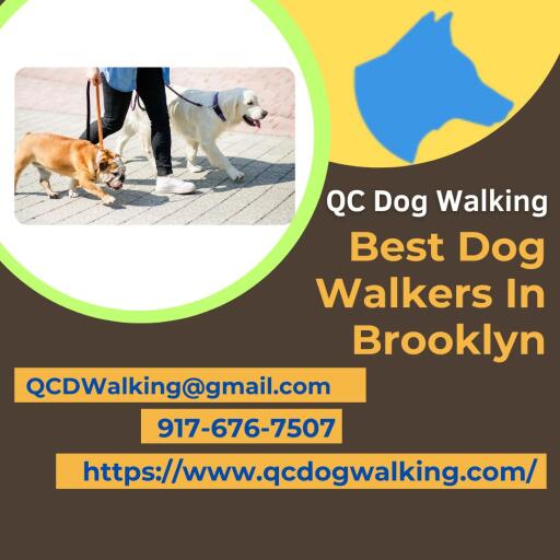Best Dog Walkers In Brooklyn QC Dog Walking