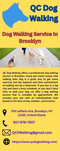 Professional Dog Walking Service in Brooklyn