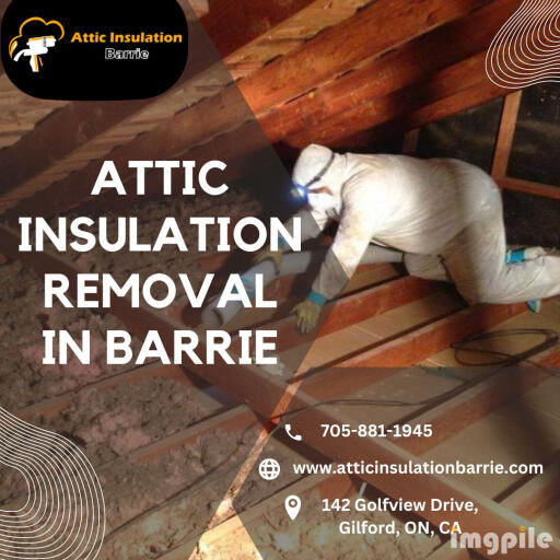 Attic Insulation Removal in Barrie