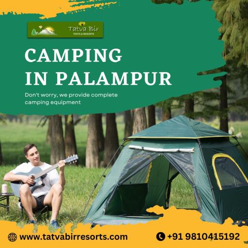 Camping in Palampur