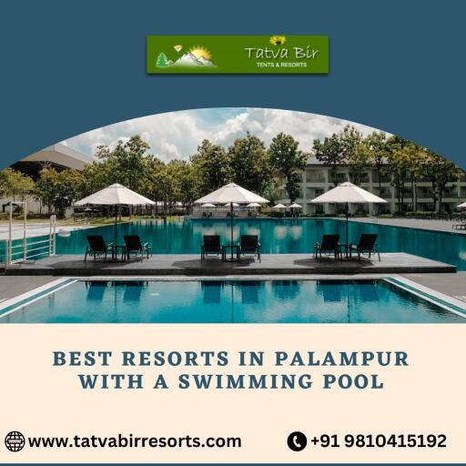 Best Resorts In Palampur With A Swimming Pool