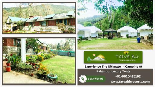 Best Camping in Himachal