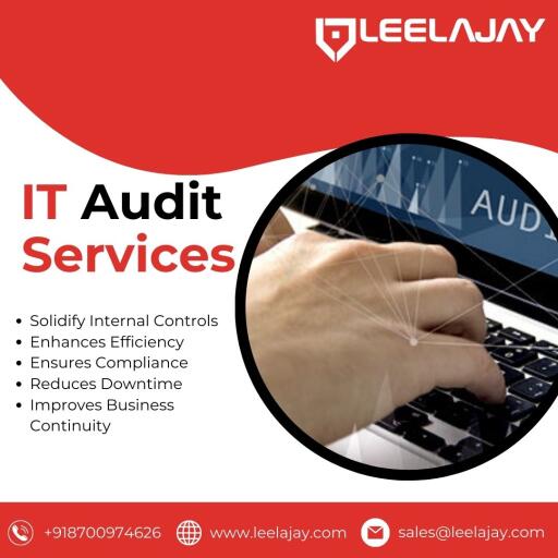 End-to-End IT Audit Services Company in India