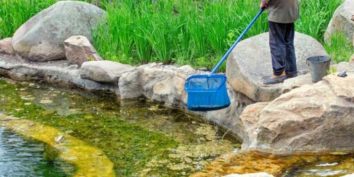 Top Pond Cleaning Equipment Suppliers in 2023