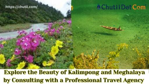 Explore the Beauty of Kalimpong and Meghalaya by Consulting with a Professional Travel Agency