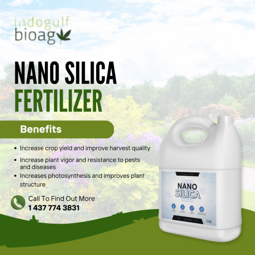 Nano Fertilizers: The Sustainable Solution For Your Agribusiness