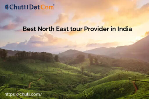 Best Rated North East Tour Provider in Kolkata: Chutii Dot Com