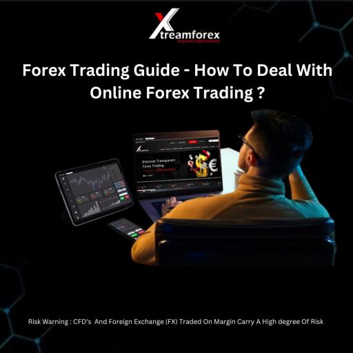 Forex Trading Guide - How To Deal With Online Forex Trading