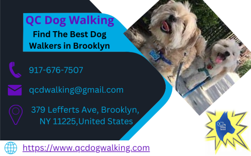 Find The Best Dog Walkers in Brooklyn  QC Dog Walking