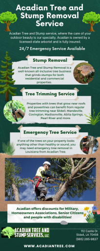 Pass Christian Tree Removal | Acadian Tree and Stump Removal Service