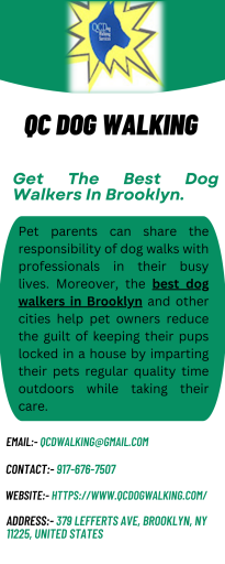 Get The Best Dog Walkers In Brooklyn
