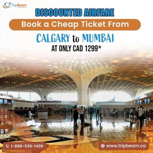 Calgary To Mumbai Cheap Tickets Tripbeam