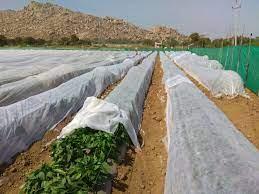 crop cover manufacturer in pune