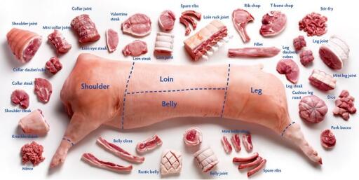 The Art of Beef Cutting A Meat Professionals Guide to Butchering and Merchandising (5)