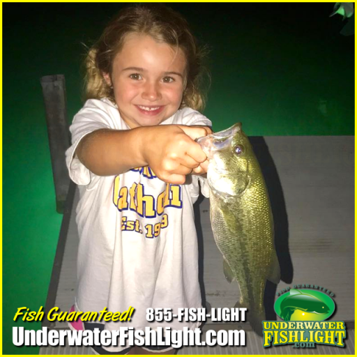 Fishing Light Green - Underwater Fish Light (855) 347-4544