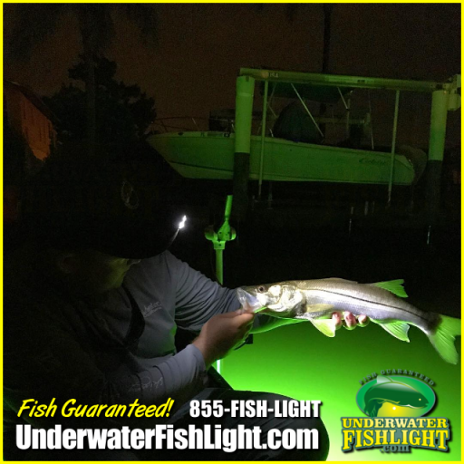 Lights Fishing - Underwater Fish Light (855) 347-4544