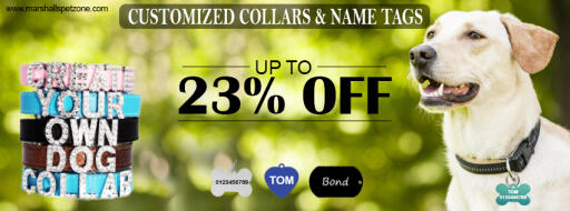 Upto 23%OFF: Pet Customized Collars & Name Tags: Click To Buy