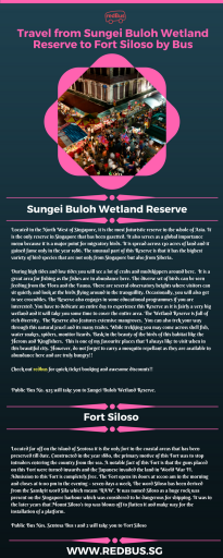 Travel from Sungei Buloh Wetland Reserve to Fort Siloso by Bus