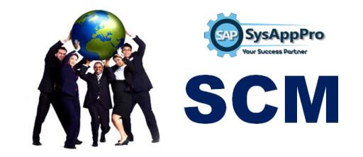 SAP SCM Training institute in Delhi