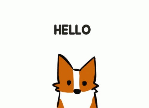 fox hello