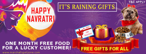 Grab 1 Month Free Pet Food:1 Luxury Pet Bed: + More Dropping Gifts: T&C Apply