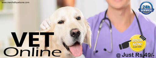 Talk To Vet Online @Just Rs.49/- Book Now