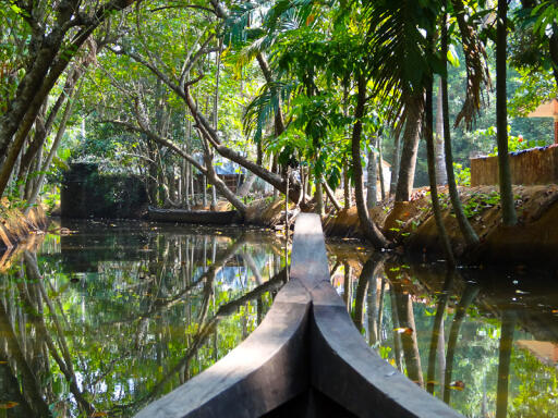 Cruise through the Stunning Backwaters of Kerala