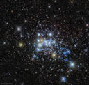 The Massive Stars in Westerlund 1