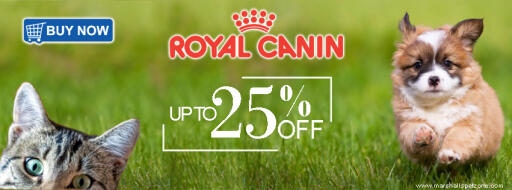 Enjoy Upto 25%Off On Royal Canin With Your Pet Friends