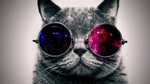 cat face glasses thick 65455 3840x2160