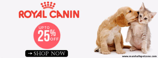 Flash Sale: Upto 25% On Royal Canin Dog & Cat Food