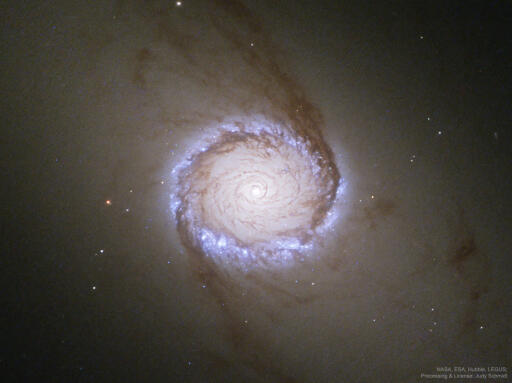 Spiral Galaxy NGC 1512 The Nuclear Ring