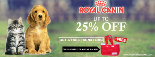Wow! Upto 25%OFF: Royal Canin + Free Trendy Bag:Shop Now