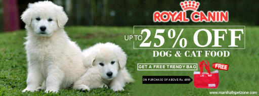 Wat?Upto 25%Off:Royal Canin & A Free Trendy Bag Too