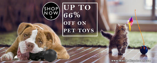 Up To 66% OFF On Pet Toys: Get Them All