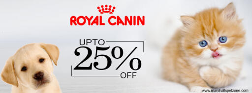 Save Upto 25%OFF On ROYAL CANIN With Your Pet Friends