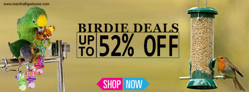 Save Upto 52%Off: Bird Products  - Food, Harness & Much More