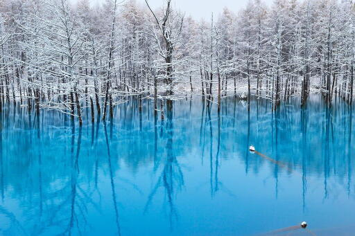 Blue Pond in Hokkaido. Japan