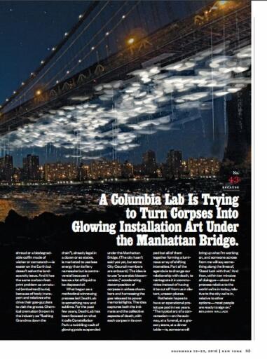 New York Magazine 12 December 2016 (4)