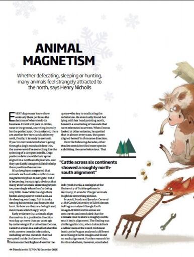 New Scientist December 17, 2016 (3)