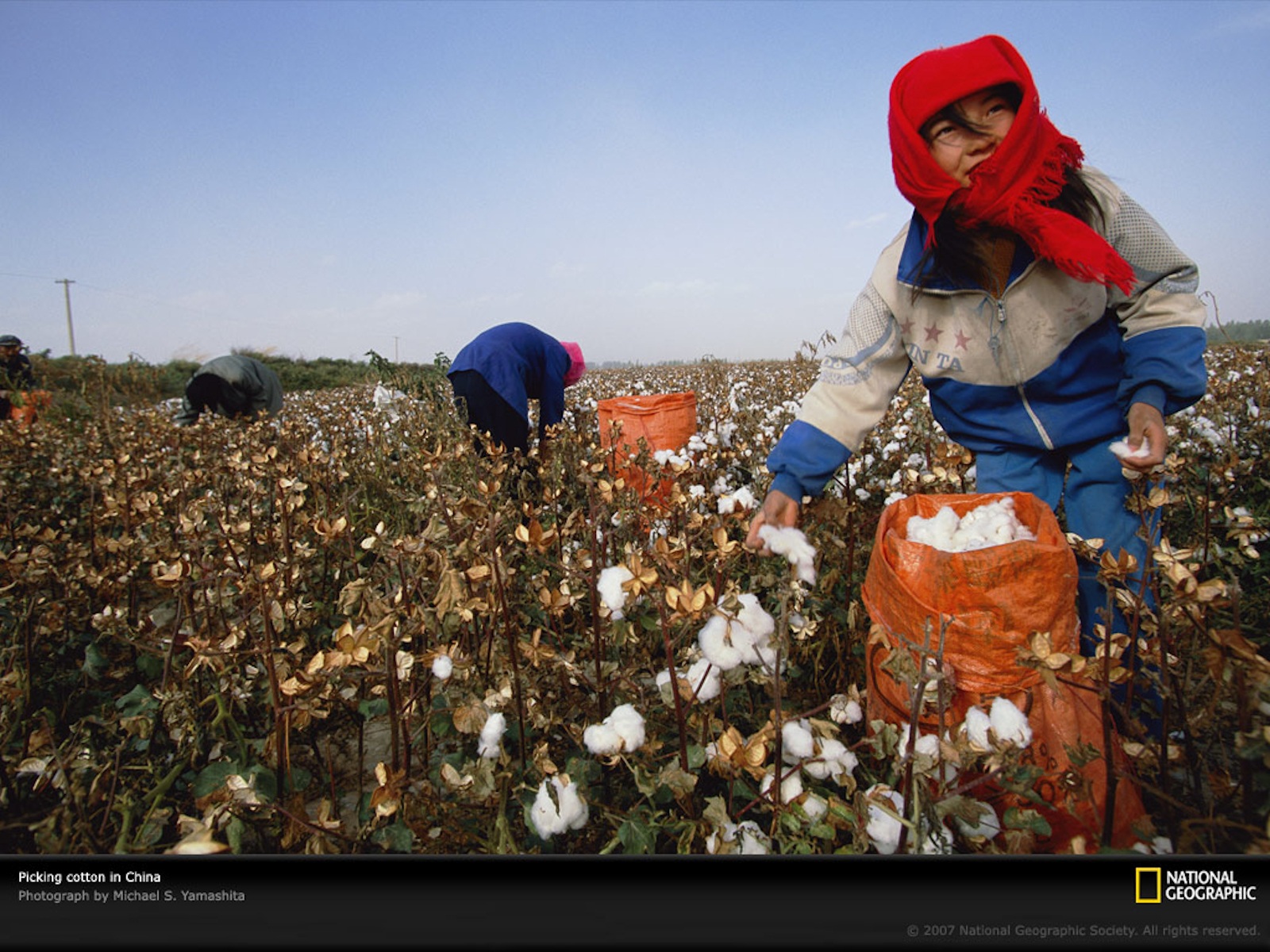 How Long Is A Cotton Picking Minute