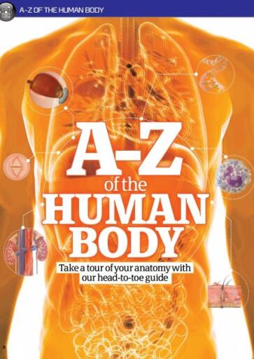 How It Works Book of The Human Body 8th Edition (4)